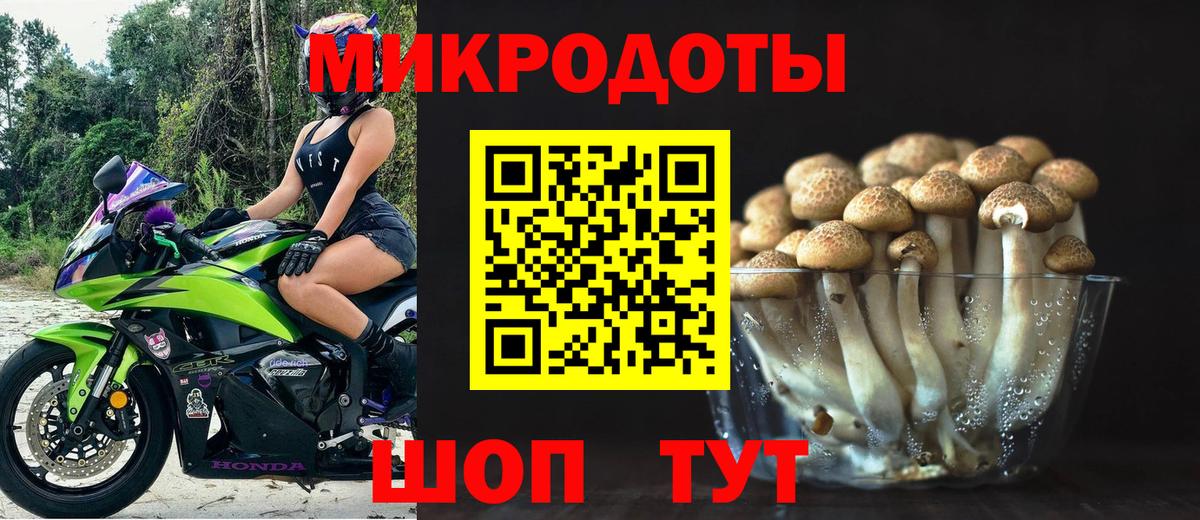 Псилоцибиновые грибы ЛСД  Вход с VPN  Санкт-Петербург  Псилоцибиновые грибы Psilocybe 